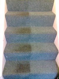 Professional Carpet Cleaning 354982 Image 0